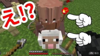【マイクラ】恐怖！？ゾンビよりも怖い村人が出現！？【マインクラフト】
