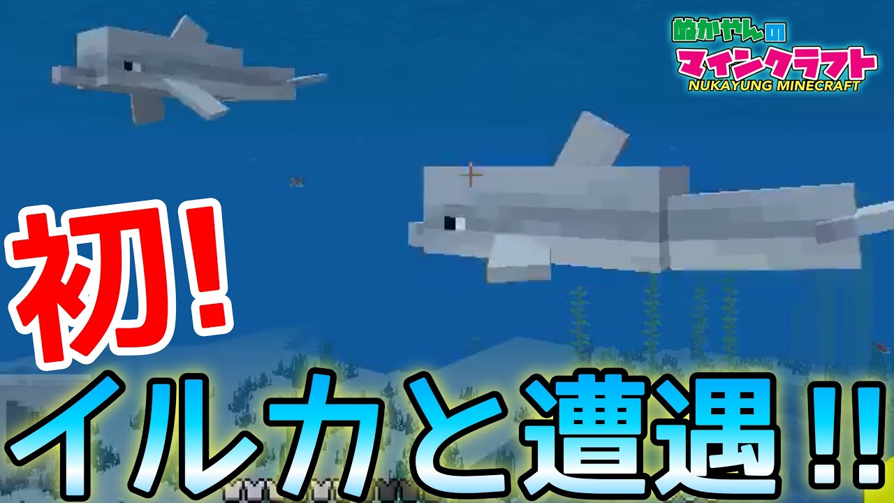 【マイクラ】初めて！イルカと出会っちゃった！！#16【マインクラフト】