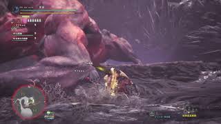 モンスターハンター：ワールド　MHW　チャアク×2　ペア 8'18''58