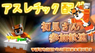 【マインクラフト】深夜の一マスバニホ練習【アスレ配信】アーカイブ消すかも