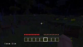 [マインクラフト]エンダードラゴンを倒しに行くぞ～
