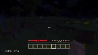 [マインクラフト]エンダードラゴンを倒しに行くぞ～