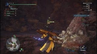 モンスターハンター：ワールド_20181005003553