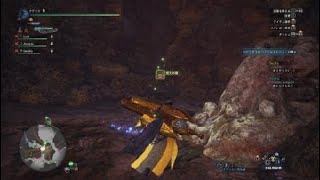 モンスターハンター：ワールド_20181005003553