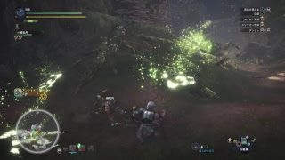 [ モンスターハンター：ワールド ] アンジャナフ・プケプケ