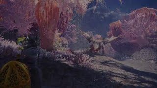 モンスターハンター：ワールド_パオウルム―