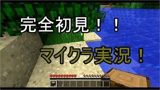 【マインクラフト Switch版】ド素人二人でサバイバル！！4日目　雑談
