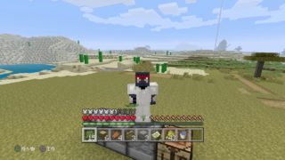 【マイクラ】縛りプレイでマインクラフト【PS4】
