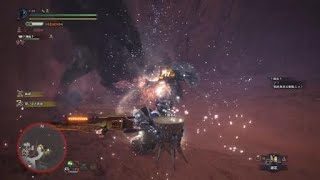 モンスターハンター：ワールド_20180617144420　ガンスでいい感じにトドメさせました