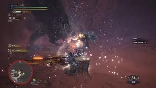モンスターハンター：ワールド_20180617144420　ガンスでいい感じにトドメさせました