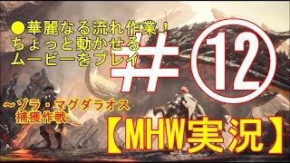 #12【PS4】Monster Hunter: Worldモンスターハンターワールド【MHW】実況プレイ
