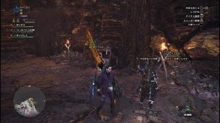 モンスターハンター：ワールド_20181002225718