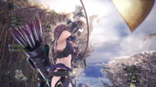 モンスターハンター：ワールド_##340_リオレイヤ亜種など_エロ装備