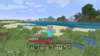 気晴らしマインクラフト、参加歓迎