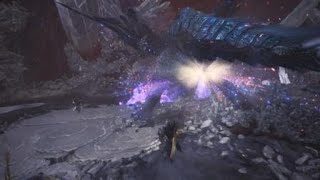 モンスターハンター：ワールド_歴戦王ナナ、太刀マルチ。その弐。