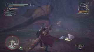 モンスターハンター：ワールド_ここぞという場面でまさかの伏兵
