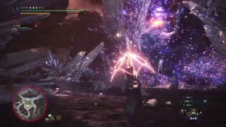 モンスターハンターワールド　歴戦王？ナナって女子よね？