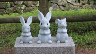 モンスターハンターワールド　生配信！　HRあげたいマン！　25