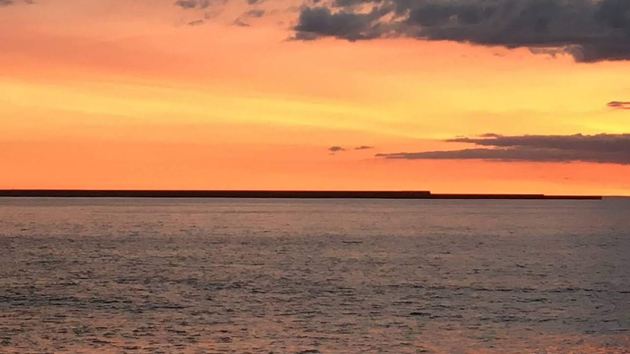 求職中ニートが行くモンスターハンターワールド！