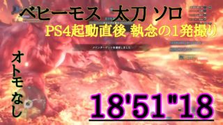 【MHW】べヒーモス1発撮りでいく 　モンスターハンターワールド