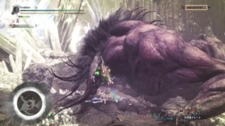 モンスターハンター：ワールド_ベヒーモス戦1