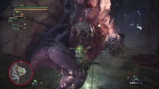 モンスターハンター：ワールド_20181003＃13