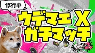 【スプラトゥーン2】ウデマエX ガチマッチ！【バブルで頑張る】