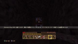 [PS4版] 突然始まることもある[マインクラフト]垂れ流し