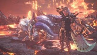 モンスターハンター：ワールド_王ナナソロ