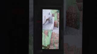 こまとたまの兄弟実況。　マインクラフト