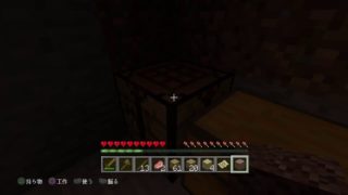 琥月、りーべるのマインクラフト