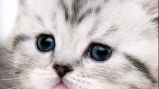 深夜のマインクラフト＃1