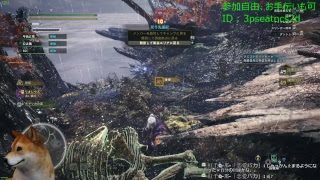 【PC版】モンスターハンターワールド MHW 歴戦珠探し 画質とfps調整しました
