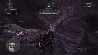 モンスターハンター：ワールド_何度目の正直？！ww