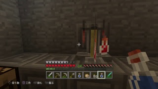 【 14 】今さら始めるマインクラフト【のんびり】