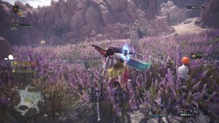 (1080p60HD)高画質！モンスターハンター：ワールド#86