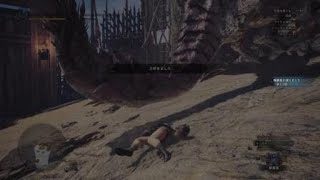 モンスターハンター：ワールド_20181001024136