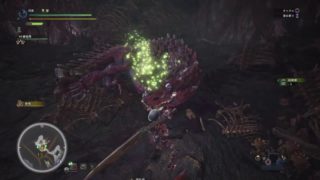 yumeがだらだらした狩りを披露する乙有りLiveです