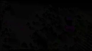 【スプラトゥーン2】ぽてりっくのウデマエ成長観察日記10/23