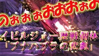 駆逐してやるからなぁああ！！！~歴戦イビルジョーPart.1~【モンスターハンターワールド実況】