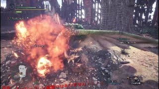 モンスターハンターワールド　闘技場のプケプケ狩り