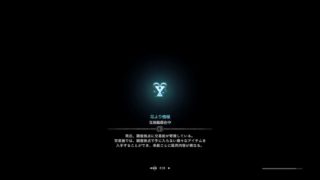 モンスターハンターワールド　[アステラ]　脳筋ハンター です。