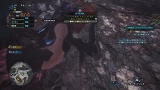 モンスターハンター：ワールド　歴戦王ナナvsナナナナ笛