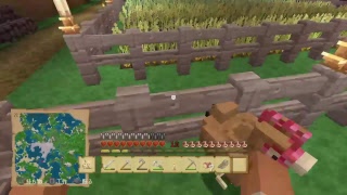 白虎が配信する　マインクラフト　フレンドさんのワールドに訪問