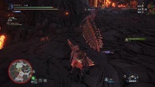 モンスターハンター：ワールド_20181007光る肉