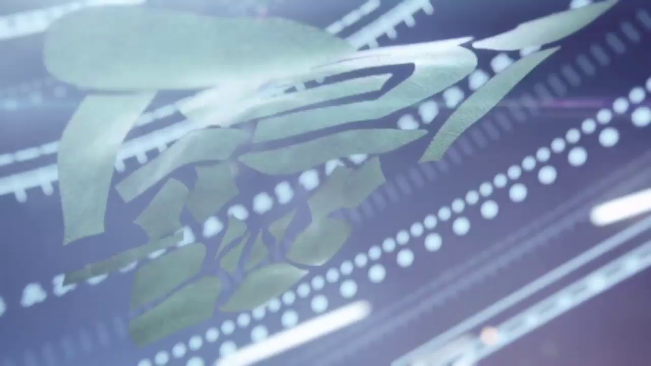 三國無双8   のんびりプレイ   Part 19   （概要欄見てね♪）