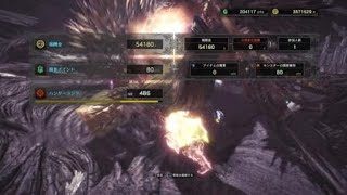 モンスターハンター：ワールド_20181016215614