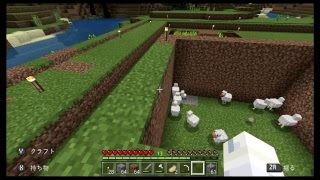 ルイージのマインクラフト#１　先ずは家からじゃない？