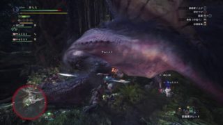 モンスターハンター：ワールド_20181003♯１４
