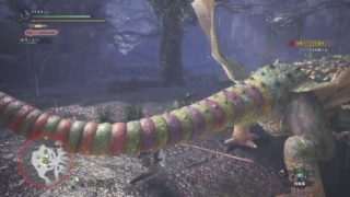モンスターハンター：ワールド_20181011174447